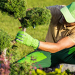 2026'da Bahçıvana Ödemek İçin Uygun Tutar Nedir?