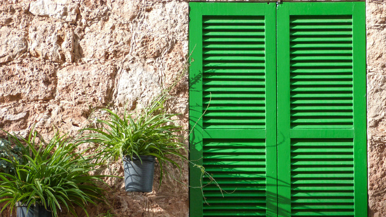 Taş evin önünde neon yeşili panjurlar