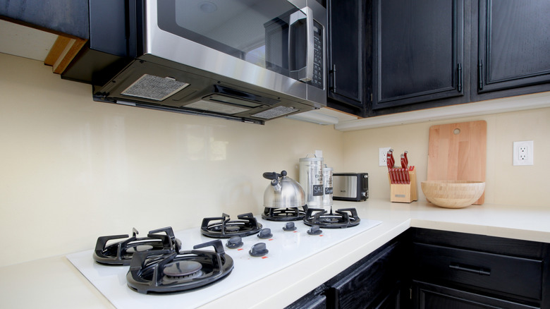 Geniş kapsamlı bir mikrodalganın yakından görünümü