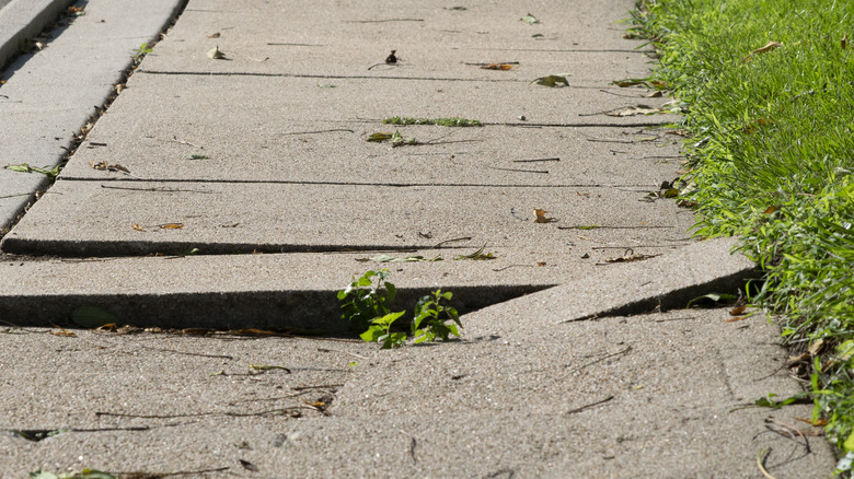 Bir tarafında çimen bulunan çatlak geçit