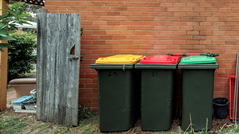 Açık ahşap kapının yanındaki bir evin tuğla duvarına dizilmiş çöp kutuları