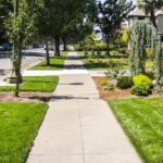 Kaldırımınız Üzerinde Gerçekte Ne Kadar Kontrolünüz Var?