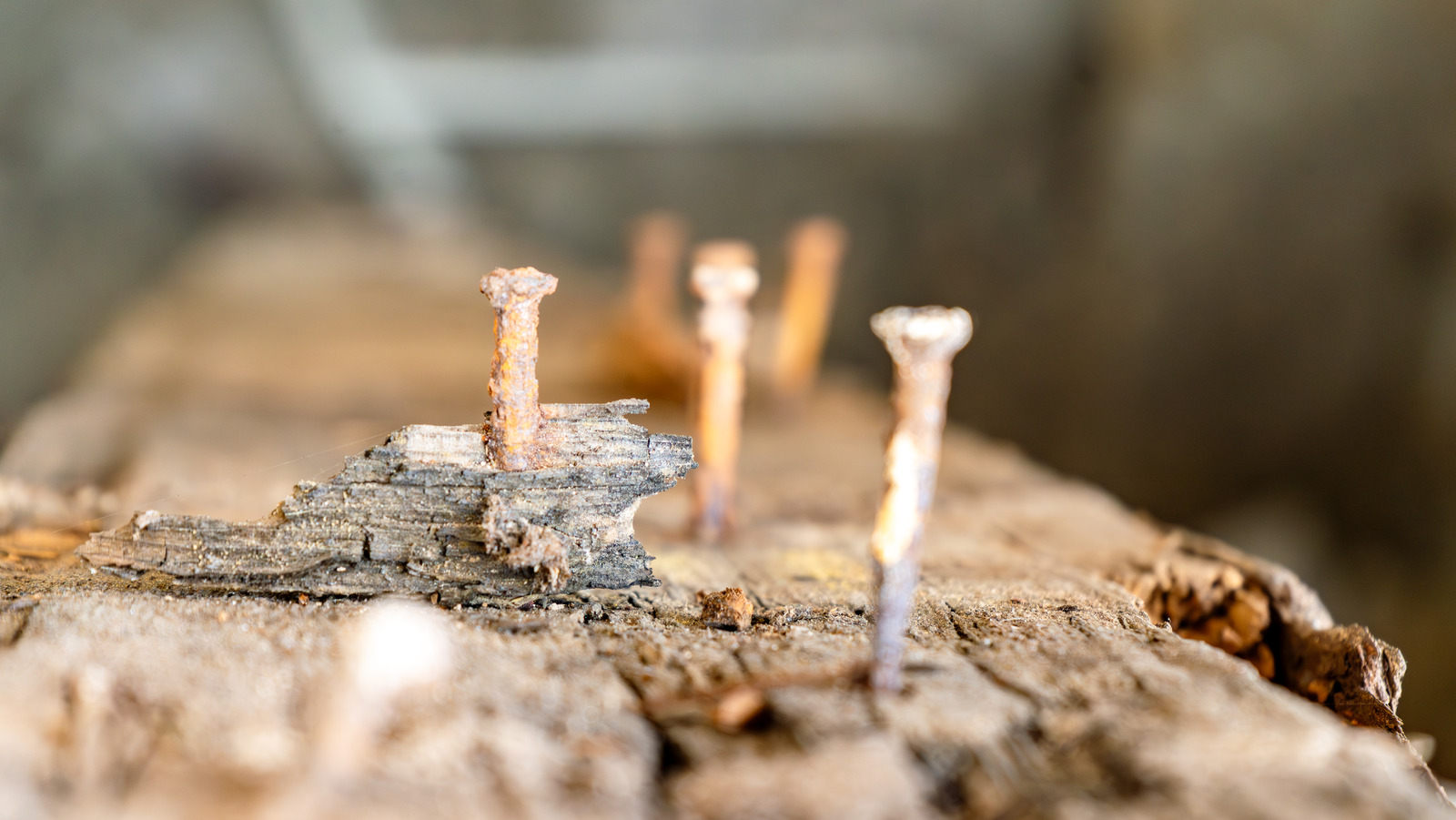 Paslı Çivileri Zengin, Güzel Bir Ahşap Lekesine Dönüştüren Basit Tüyo