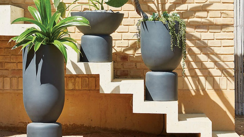 Dışarıda oturan uzun yetiştiriciler