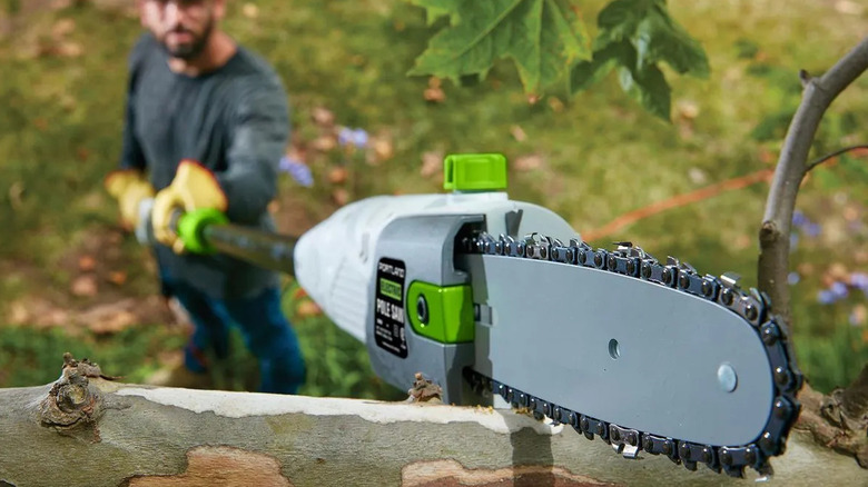 Bir dalı kesmek için Harbor Freight'in Portland 6,5 amperlik elektrik direği testeresini kullanan bir adam