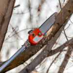 Yüksek Puanlı Elektrik Direği Testere Limanı Nakliye Müşterileri Seviyor