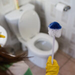 Banyonuzdaki Tuvalet Fırçasının Göz Ağrısını Gizlemek İçin İhtiyacınız Olan Zekice Numara