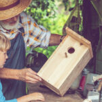 Doğadan Esinlenen Bir Evi Dekore Edin Kuşlar Bahçenizdeki Eşyaları Kullanmayı Sevecek