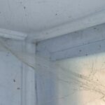 Tavan Örümcek Ağlarını Temizlemeyi Kolaylaştıracak 7 Yaratıcı Tüyo