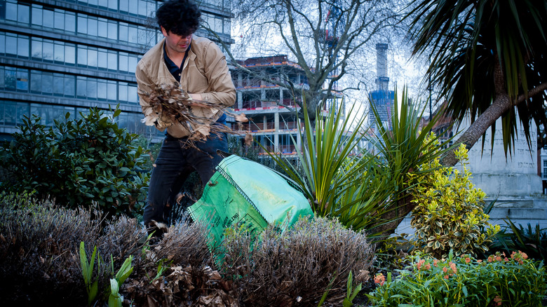 Londra'da gerilla bahçıvanlığı yapan adam.