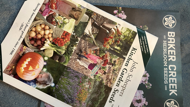 İki tohum kataloğu.