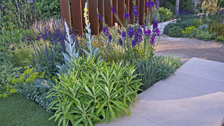 Geçit kenarındaki küçük yataklarda büyüyen çok yıllık bitkiler.
