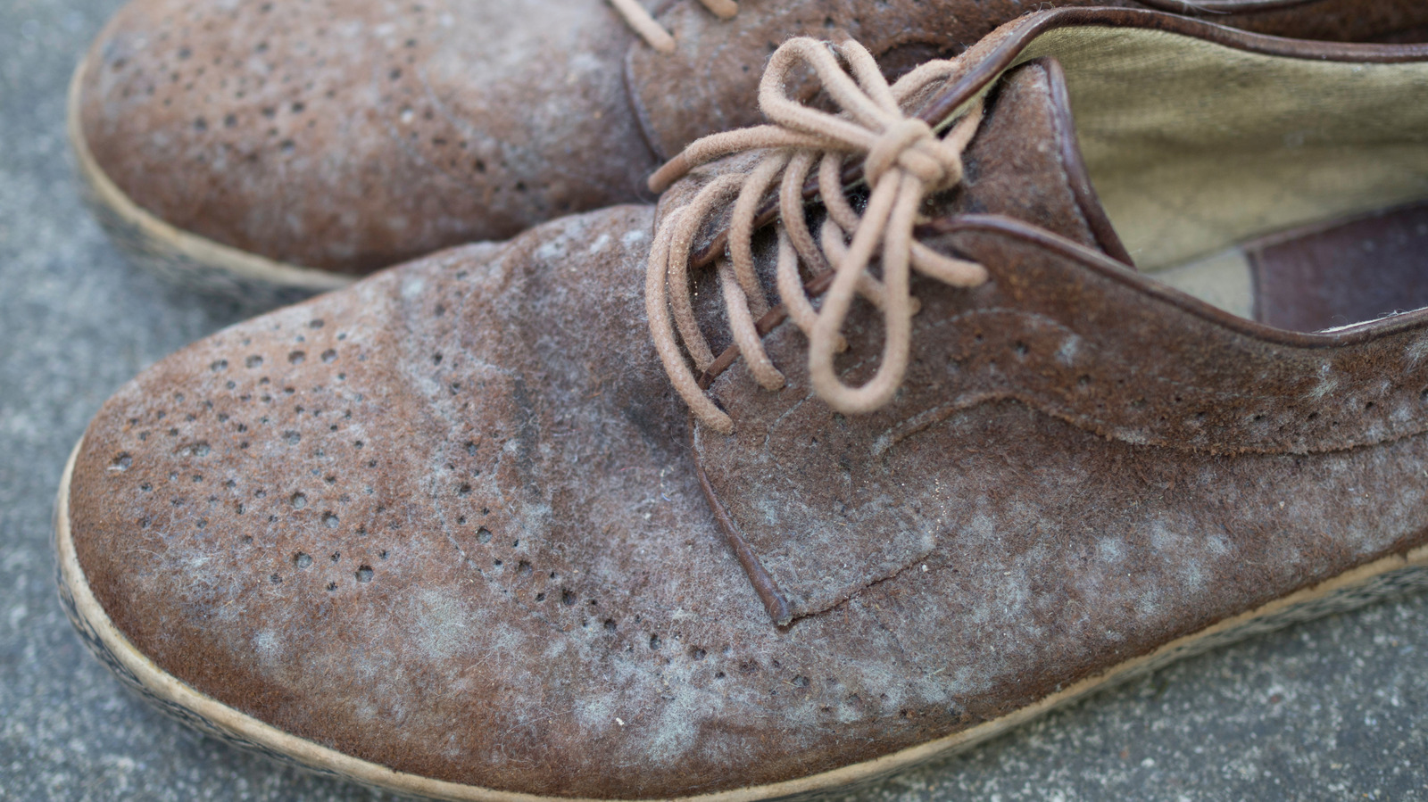 Ayakkabılarınız Dolabınızda Küfleniyor mu? İşte Nedeni (Ve Nasıl Düzeltilir)