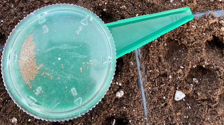 Ekim için tohum dağıtıcıyı çevirin