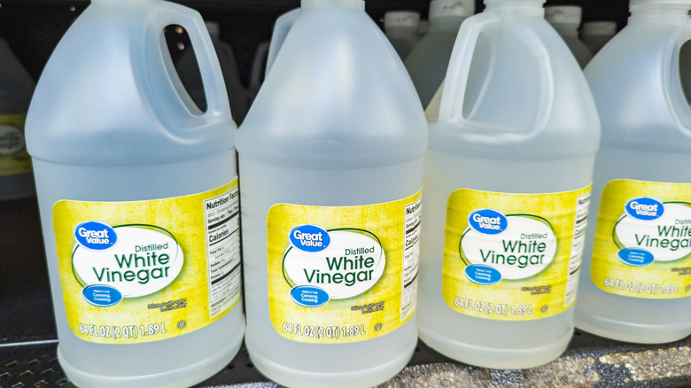 Bir bakkalın rafında büyük plastik beyaz sirke şişeleri.