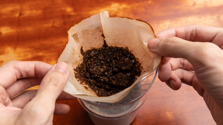 Bir kişi kullanılmış kahve telveleriyle dolu bir kağıt filtre tutuyor.