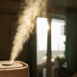 Nemlendiricinizi Sezon Boyunca Depoya Kaldırmadan Önce Atmanız Gereken Adımlar