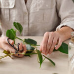 Baharat Rafını Yayılım İstasyonuna Dönüştüren IKEA Hack'i