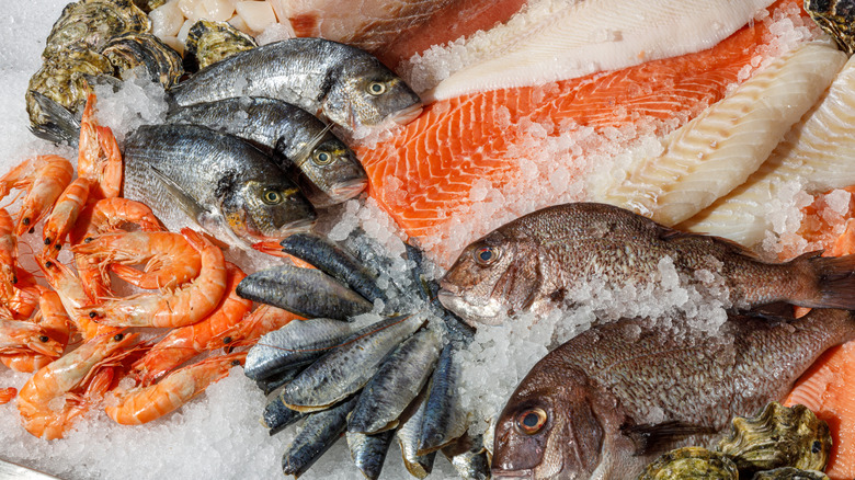 Buz yatağında çeşitli balık ve kabuklu deniz ürünleri