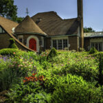 İstenmeyen Kuşları Evinize Çok Yakınlaştıran Dikim Hatası