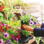 Fidanlık ve Bahçe Merkezi: Bahçe İhtiyaçlarınıza Hangisi Daha İyi Uyuyor?