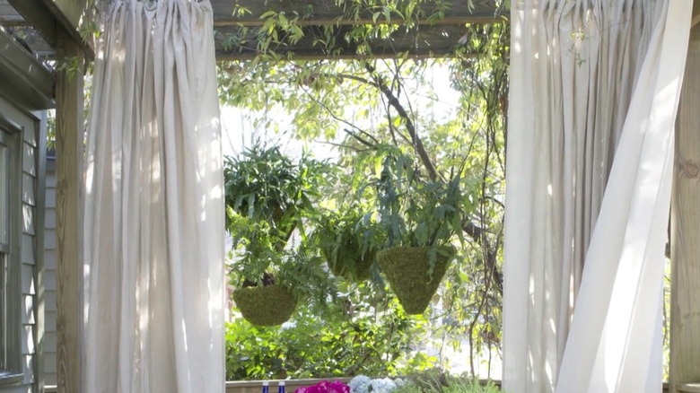 Dan Faires, biyofilik bir görünüm için yeşillik ve perdelik kumaşlar kullanıyor