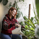 Evinizin Soğuk Köşelerinde Büyüyen Çok Yıllık İç Mekan Bitkisi