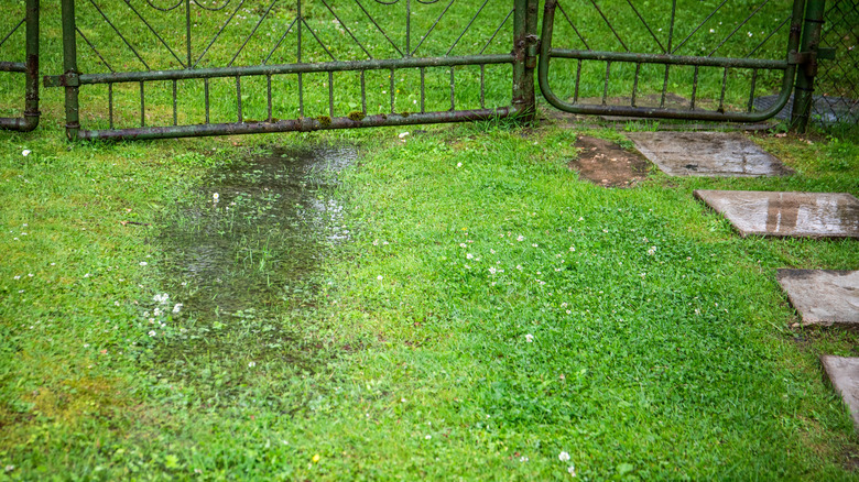 bahçenin alçak noktasında su birikintisi