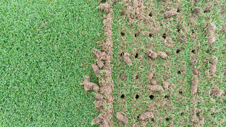 Toprağı tapalarla havalandıran kişi