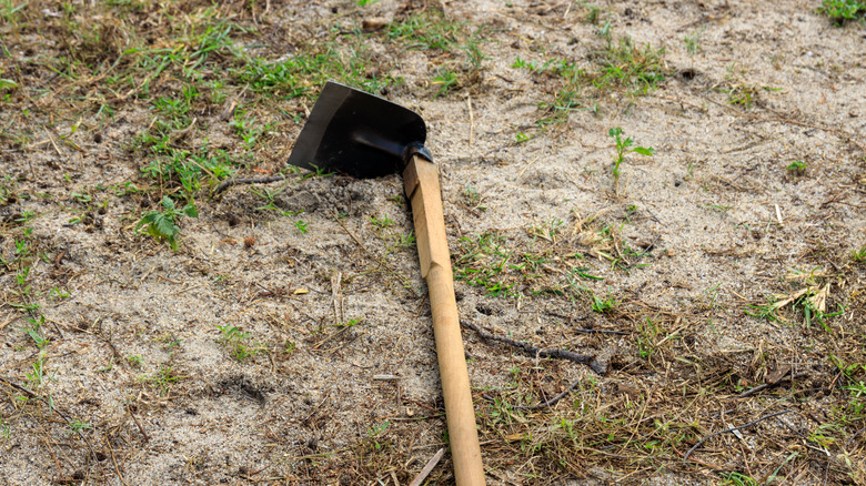 Önemli kel bölgelerin olduğu bahçede duran bahçe aleti