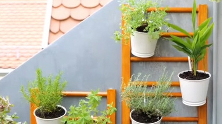 Dış mekan ekici olarak kullanılan IKEA HUTTEN rafının yakından görünümü