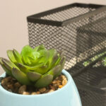 Dolar Ağacı Tel Tepsilerini Kullanarak Organize Olmanın 10 Dahi Yolu