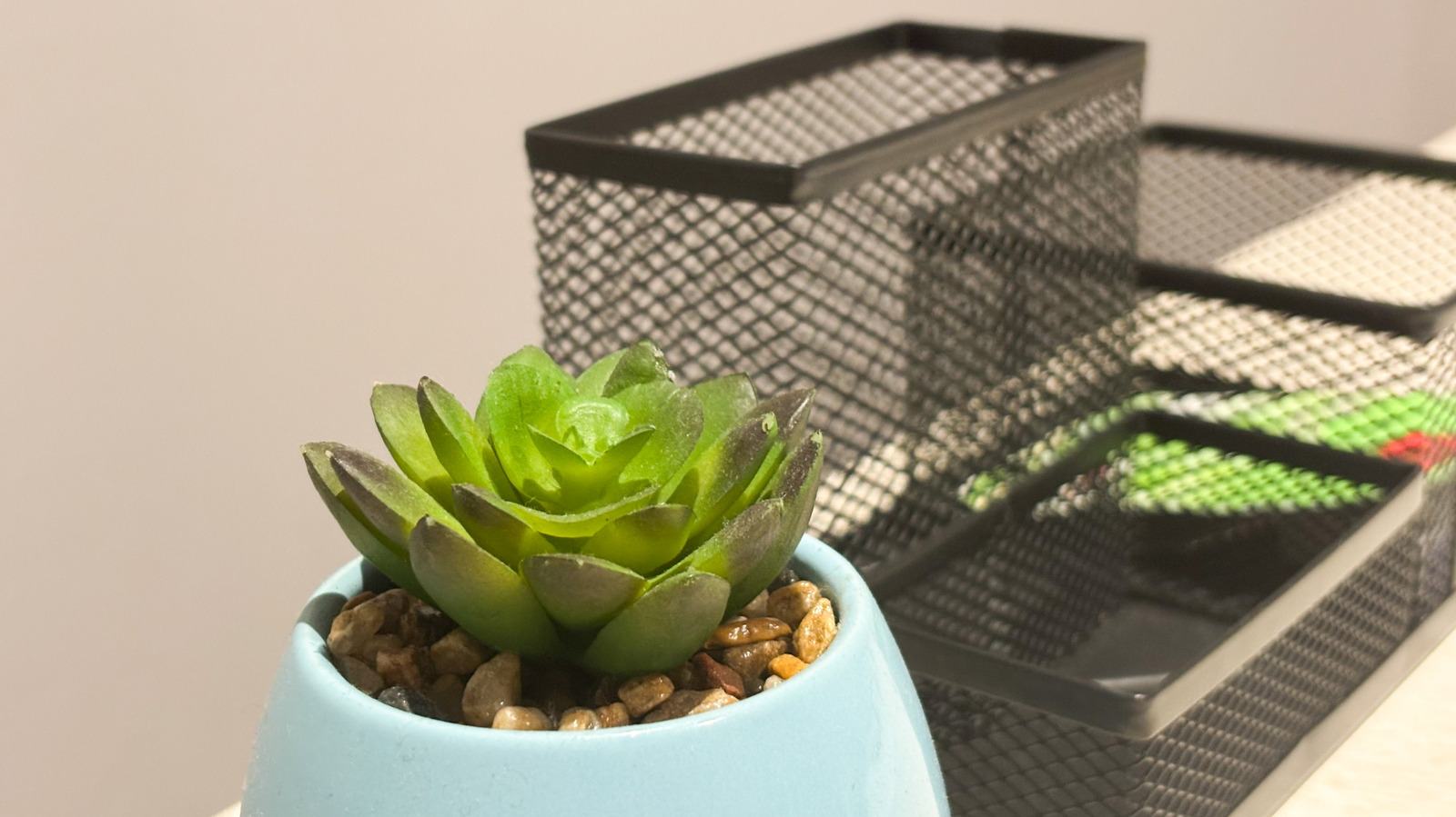 Dolar Ağacı Tel Tepsilerini Kullanarak Organize Olmanın 10 Dahi Yolu