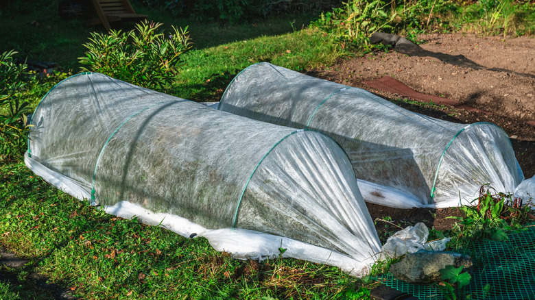 Peyzaj kumaşı, yükseltilmiş bahçe yataklarını dondan korumak için kaplar.