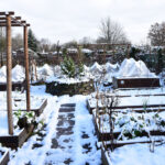 Göl Etkisi Kar: Bahçeniz ve Bahçeniz Üzerindeki Etkisi Hakkında Bilmeniz Gerekenler