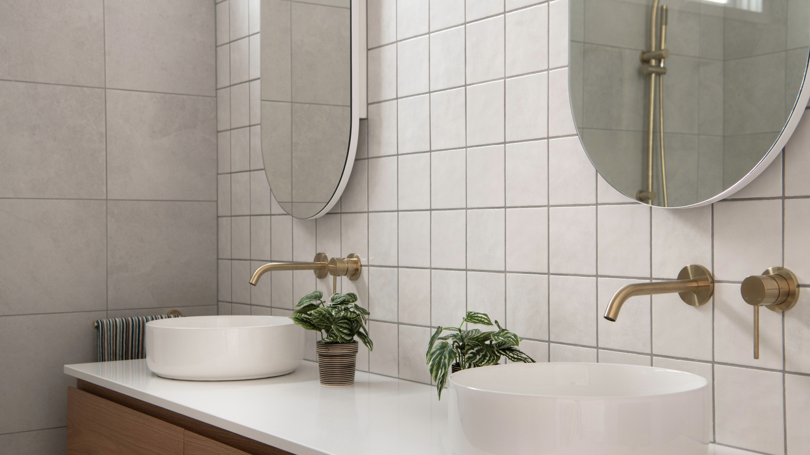 Tell-Tale, Kiremit Harcınızın Küf Barındırıyor Olabileceğini Gösteriyor