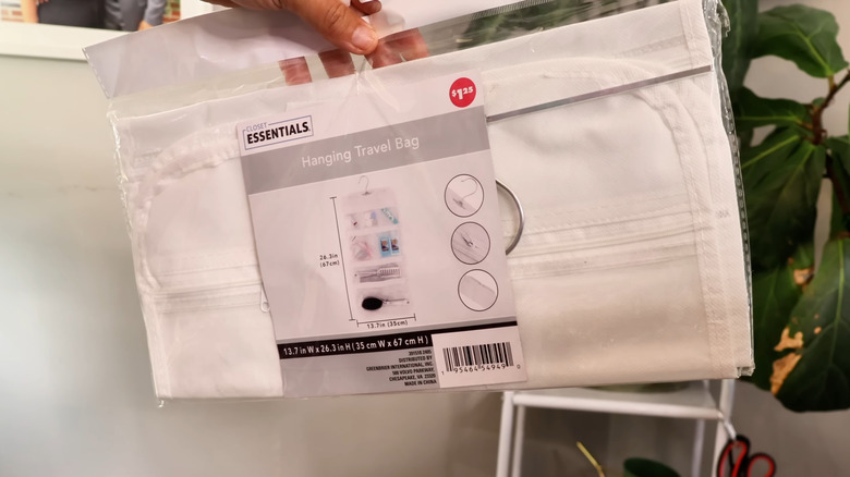 Dolar Ağacından seyahat çantasını tutan kadın