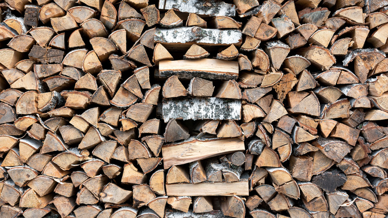 Huş ağacı kütükleri yanlara bakacak şekilde istiflenmiş yakacak odun.