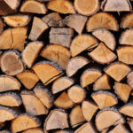 İnsanların Kışın Yakacak Odunlarını Saklarken Ne Kadar Yaratıcı Olabilecekleri Hakkında Hiçbir Fikrimiz Yoktu