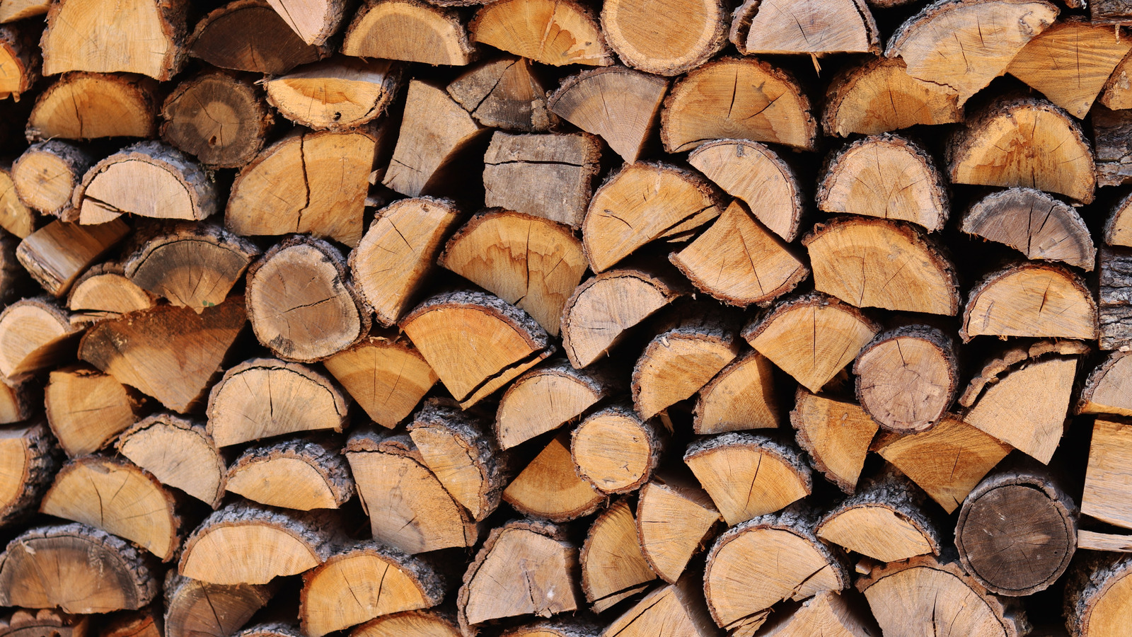 İnsanların Kışın Yakacak Odunlarını Saklarken Ne Kadar Yaratıcı Olabilecekleri Hakkında Hiçbir Fikrimiz Yoktu