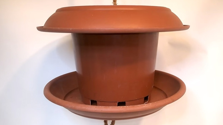 Drenaj delikli plastik kap kuş besleyici