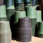 Eski Plastik Fidanlık Saksılarını Kuşların Akın Edeceği Asılı Bir Yemliğe Dönüştürün