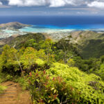 Hawaiililer Bu Tropikal İstilacı Zararlıyı Gördüklerinde Öldürmeli (Çok Fazla Hasara Neden Olabilir)