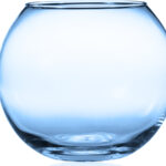 Dolar Ağacı Akvaryumu Yaratıcı Kullanımlarla Dolu