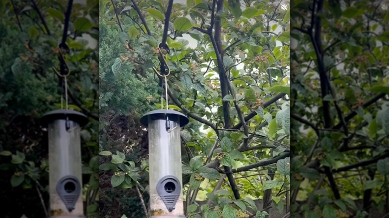 Pirinç renkli IKEA HULTARP kancalarıyla ağaca asılı kuş yemlikleri.