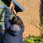 Asılı Kuş Besleyicilerini Esinti Haline Getiren Ekonomik IKEA Çözümü