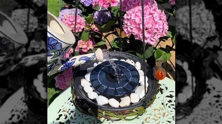 Bahçede asılı güneş enerjili kuş banyosunu dolduran sulama kutusu.