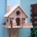 Kuş Besleyici ve Ev Kombinasyonları Kuşlar İçin Uygun mu? İşte Bildiklerimiz