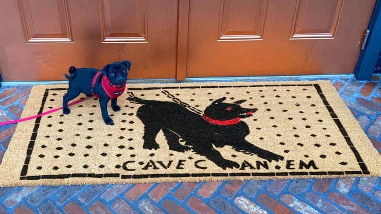 Siyah köpek desenli bir paspasın üzerinde duran Pug köpek yavrusu