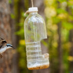 Eski Plastikten Kendiniz Yapabileceğiniz 8 Kuş Besleyici ve Banyosu